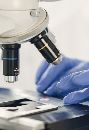 Free 1site Template by Free-Template.co